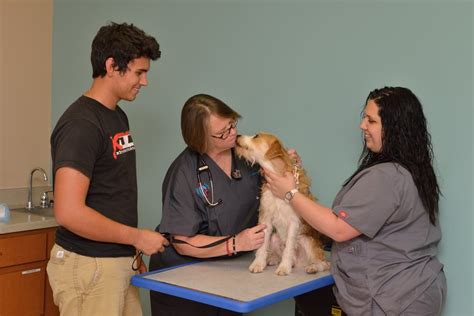 animal emergency hospital volusia reviews.